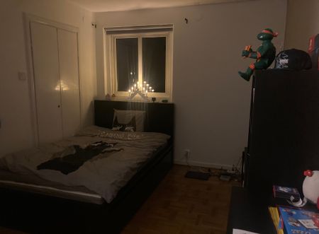 Dammvägen, Växjö - Foto 2