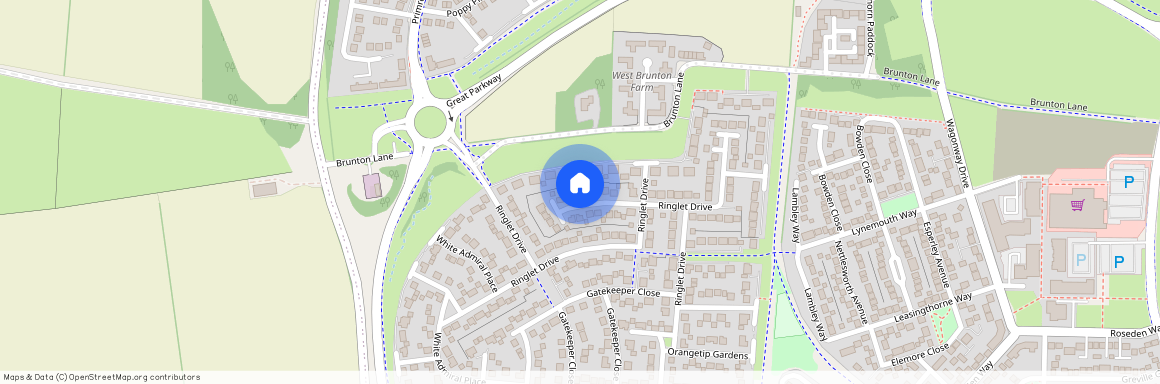 Ringlet Drive, Great Park, Newcastle Upon Tyne