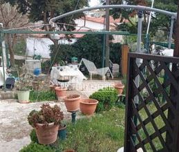 Μονοκατοικία για ενοικίαση - Αλεξανδρούπολη, - Φωτογραφία 5