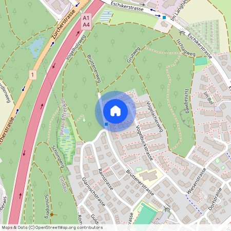 Vogelbuckstr. 43, 8307, Effretikon