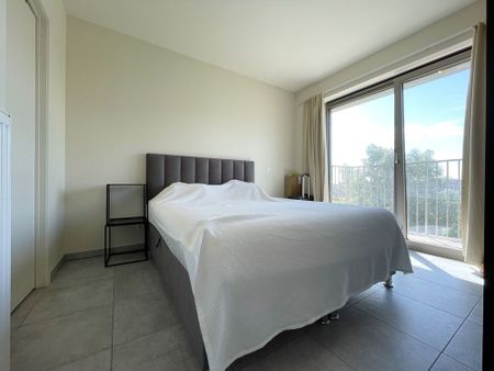 BEZOEKDAG VOL! - Photo 4