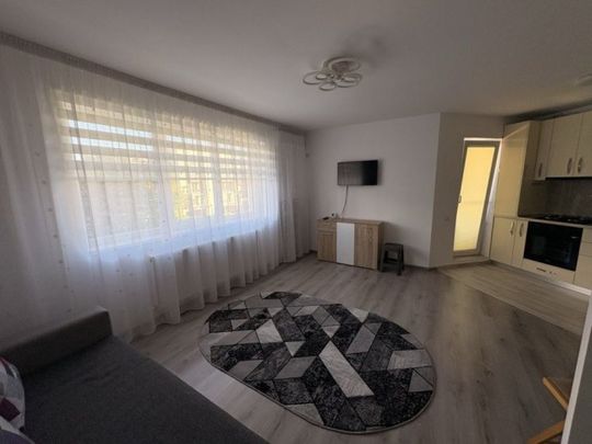 Berceni postalionului drumul cucului - Fotografie 1