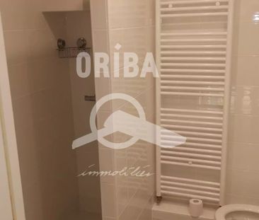 T2 HAUTS PAVES/MONSELET - Photo 6