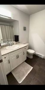 2 bedroom Basement Suite - Photo 4