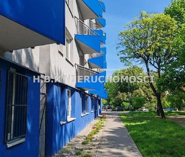 Koszutka, Katowice - Zdjęcie 4