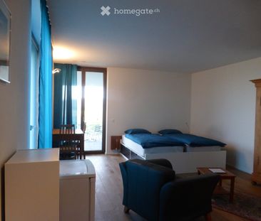 Grosse möblierte 1-Zimmer-Wohnung in Winterberg ZH - Foto 3