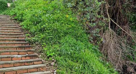 Bush-surrounded 2 bed flat in Aro Valley - Photo 3