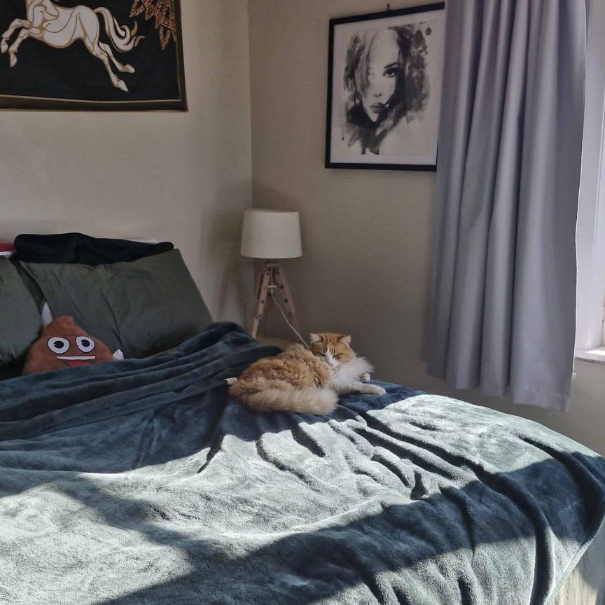 Get settled before Christmas - Photo 1