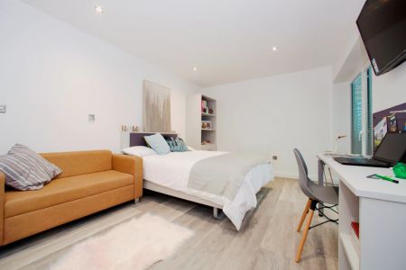 Silver Plus Studio + balcony - Photo 2