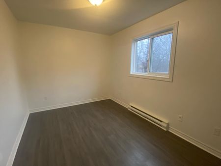 56a Chadwick St – 3 BR DARTMOUTH APARTMENT AVAILABLE MARCH 1ST! - Photo 2