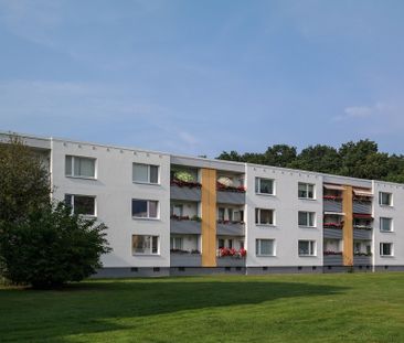 Wird exklusiv modernisiert: Erdgeschoss-Wohnung in Detmerode - Foto 5