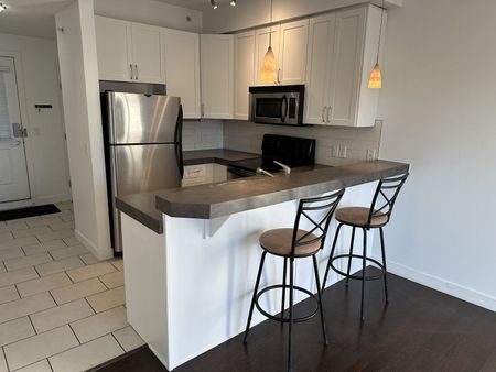 404 - 1108 15 Street Southwest, Calgary - Photo 2