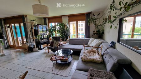 3.5 Zimmer, 82 m² - Photo 4