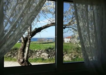 Μονοκατοικία για ενοικίαση Πέτρα (Λέσβος - Πέτρα) - Φωτογραφία 5