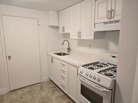 For Lease - 6 Arrowstook Road Unit# Basement 1 BR, Toronto, Ontario - Photo 3