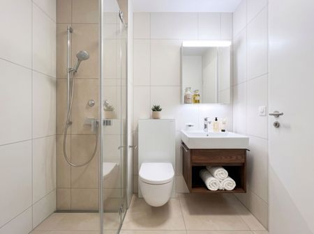 Home at Lake Zurich bright 3.5-room apartment with mountain and lake view in Feldmeilen - Foto 5