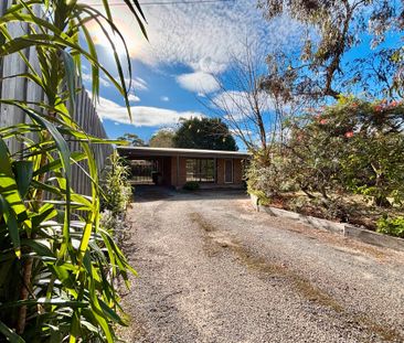 Charming Three-Bedroom House with a Huge Shed! - Photo 3