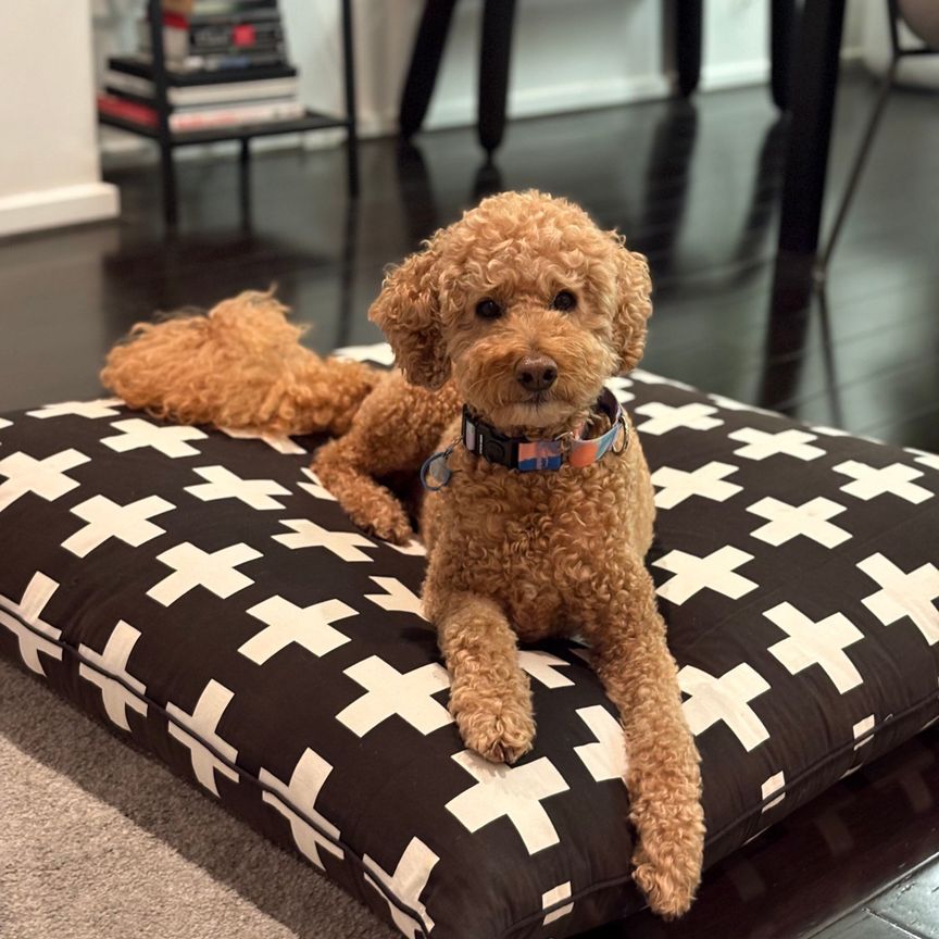 Port Melbourne - Photo 1