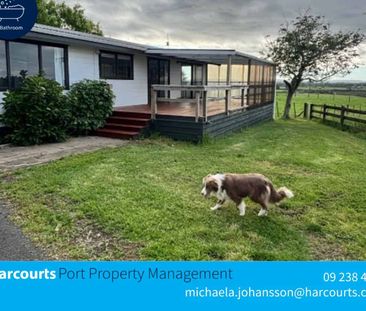 Fancy looking after a goat - Photo 5