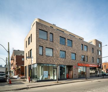 Condo for rent, Montréal (Rosemont/La Petite-Patrie) - Photo 5