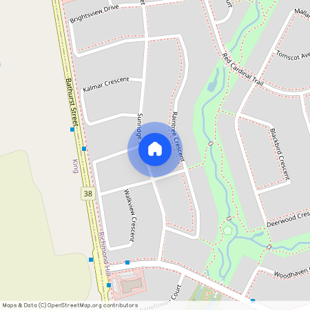 63 Sunridge Street, Richmond Hill