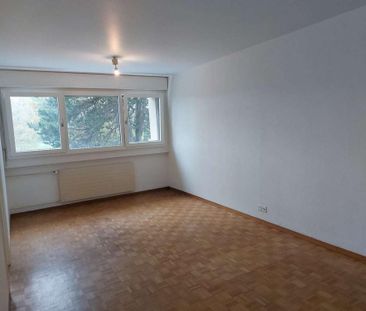 Appartement de 2 pièces en campagne - Thônex - Foto 1