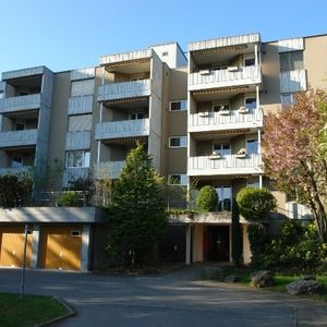 "Bullseye!" - Photo 2