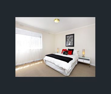 Secret Garden and full light natural - Photo 1