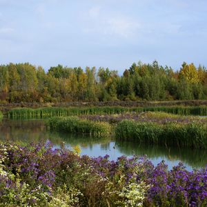 Lilythorne | Zen Urban Flats - Now Renting - Photo 2