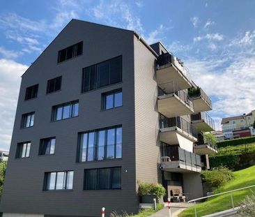Attraktive 2.5-Zimmer-Wohnung mit moderner Wohnküche & Sitzplatz - Foto 2