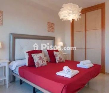 Casa en alquiler en Avenida de los Alisos, 6 - Photo 4