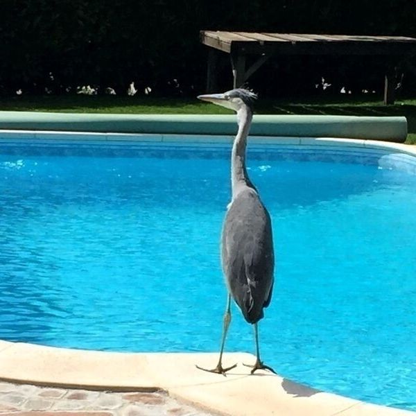 APPARTEMENT 1 PIÈCE À OBERGÖSGEN (DIM), MEUBLÉ - Photo 1