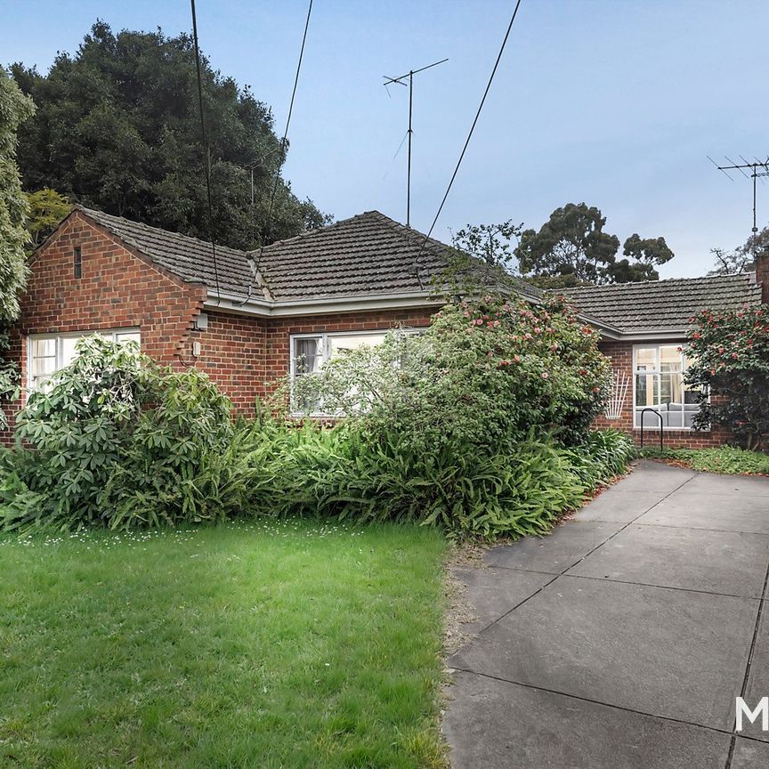 50 Lantana Street, Ivanhoe - Photo 1