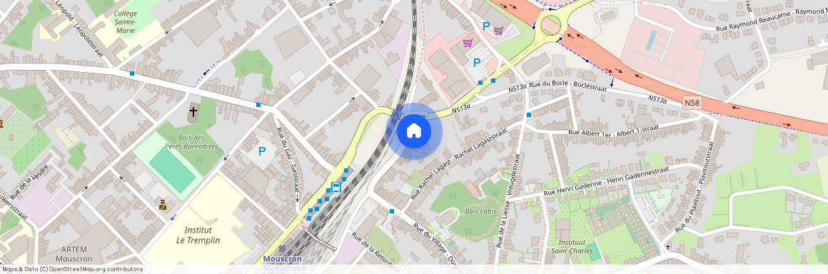 rue de la carpe 9 11 +, 7700 Luingne