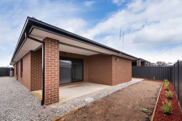 29 Jessup Street, Huntly - Photo 1