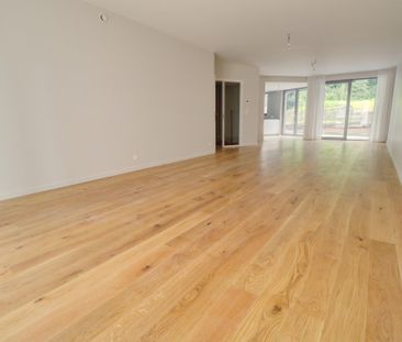 Rez-de-chaussée - à louer - Photo 2