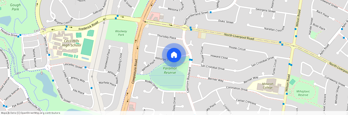 52 Althorpe Drive, NSW 2168, Green Valley