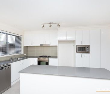 6/20 Power Street, Mawson ACT 2607 - Townhouse For Rent | Domain - Photo 2