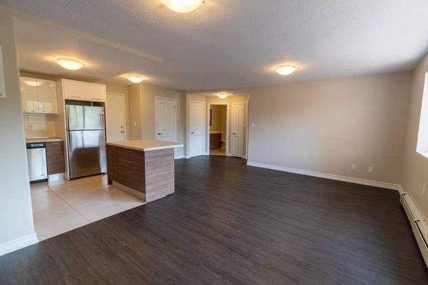 apartments at 375 Scott Street - Photo 1