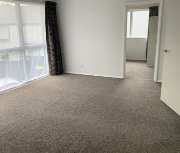 Merivale Unit Across The Road From Hagley Park - Photo 4