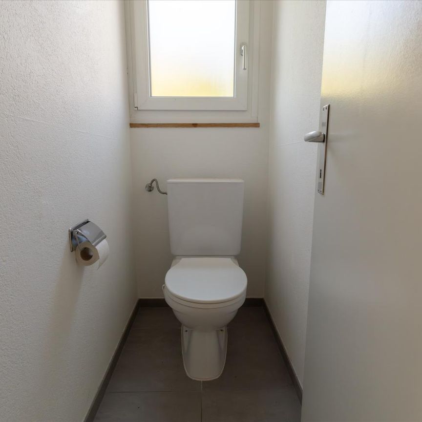 2.5 Zimmer, 52 m², 1. Stock - Foto 1