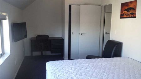 Dont hunt around!! - Photo 5