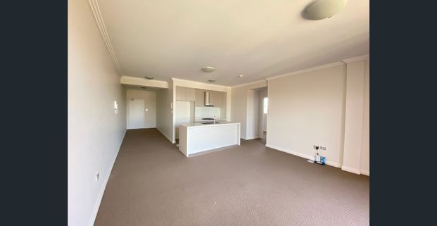 Near New top level skyline view 2bedrooms 2 bathrooms for rent Only $700 per week - Photo 1