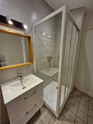 Location Maison 3 pièces 51m² AMPUIS 69420 - Photo 3