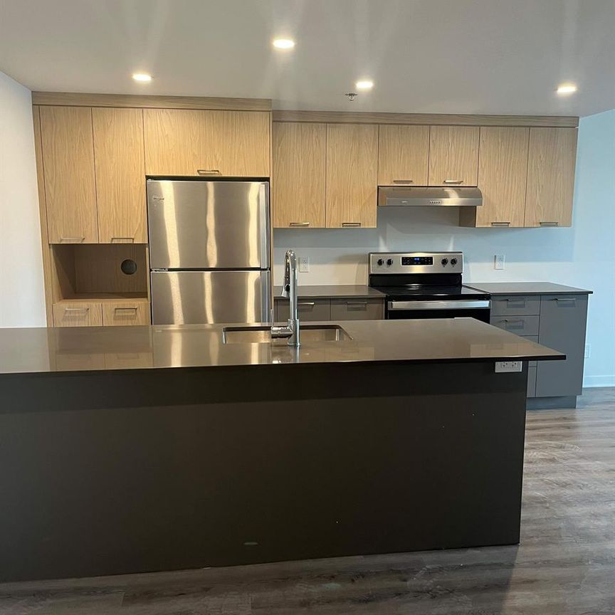 1 CH - 1 SDB - Terrebonne - $1,775 /mo - Photo 1