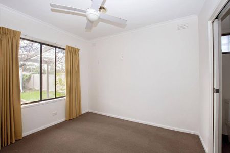 Surprise Packet - Photo 4