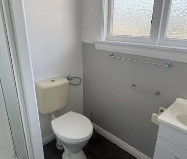 Addington – Spacious 4 bedroom renovated home, Suit family or group! - Photo 5