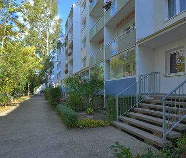 3-Raumwohnung mit idealem Grundriss! - Foto 1