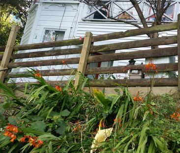 Bush-surrounded 2 bed flat in Aro Valley - Photo 1