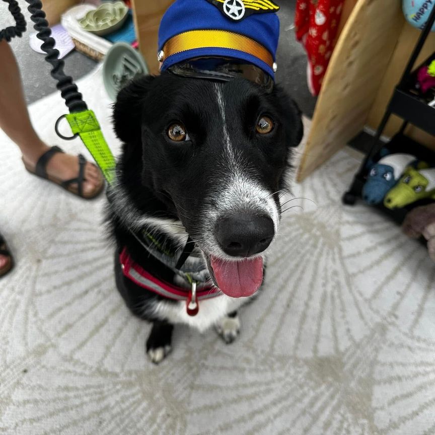 Redbank Plains - Photo 1